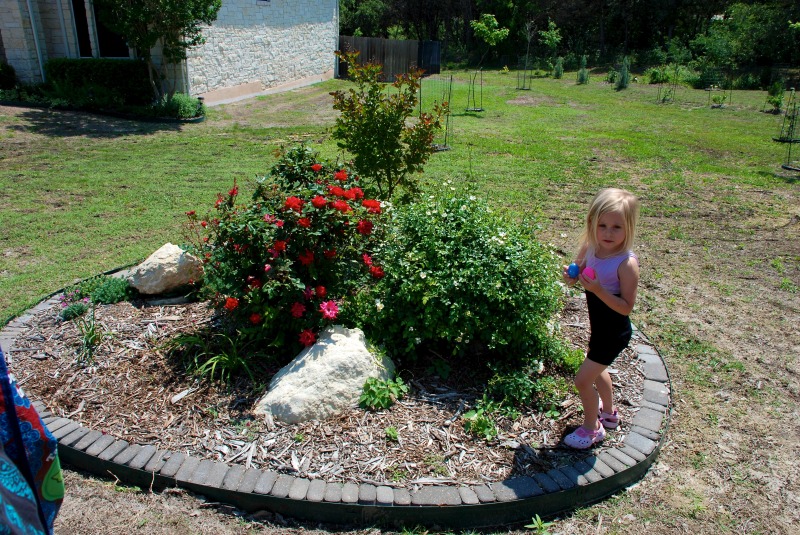 2012/04(April)/Easter/800x600_2012-04-08-49-Egg Hunt.jpg